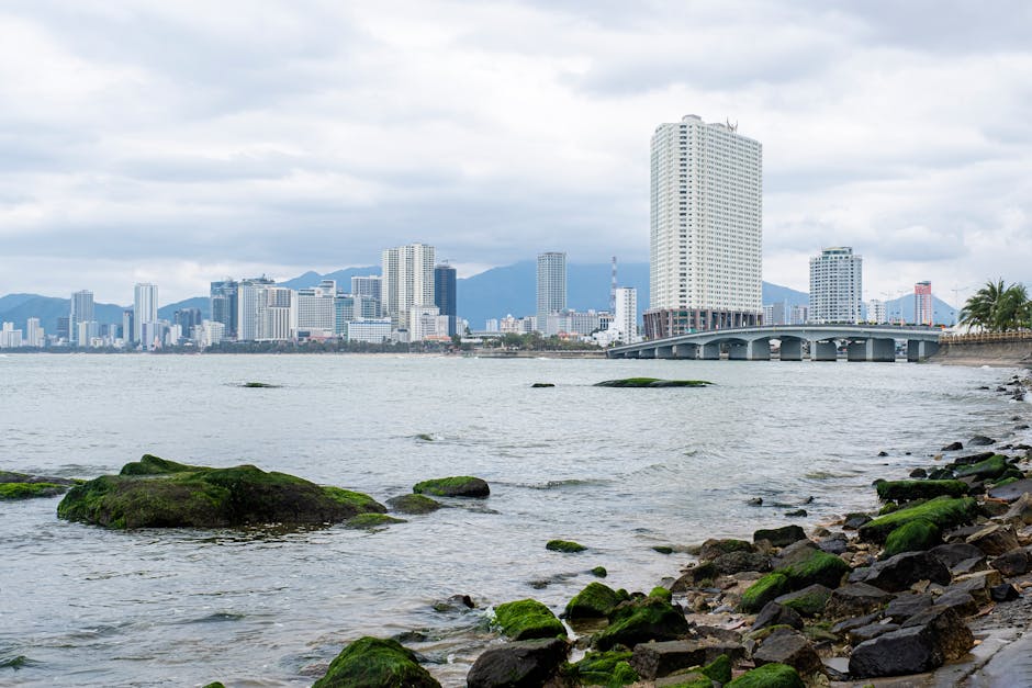 Exploring the Beauty of Miami’s Coastline: Why Jet Ski Tours are a Must-Try